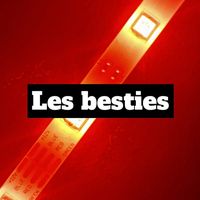 les_bestes_du_13