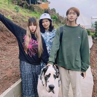 pandakookkookstory