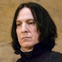 hoggy_warty_hogwarts0