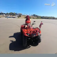 original sound - cindy_arceda