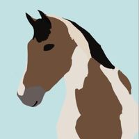 ellyse.talloakstables