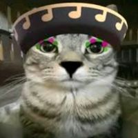 caiolinkdozap1
