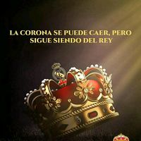 layo4936