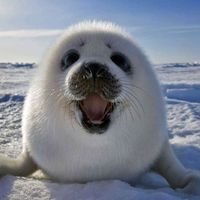...adorably_.mar.vidsfyp