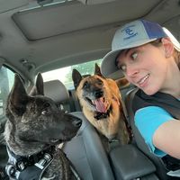 jrk9dogtraining