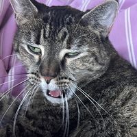 maddddddddsssssssssss