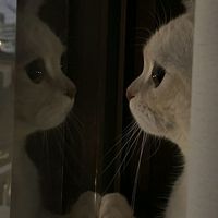 cosas_de_la_vida70