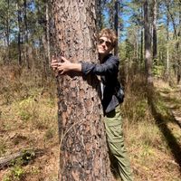 creep by radiohead banjo