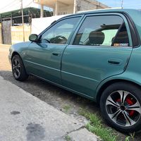 maikel.233