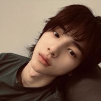 piercethesleepingsirens