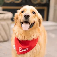 original sound - golden.enzo.mx