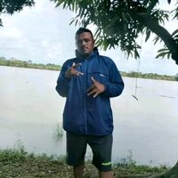 guaba053