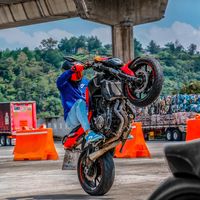 angelflores125