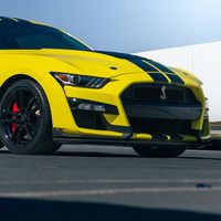 shelby_moe5.2