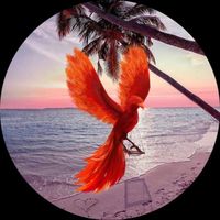 phoenix..beachstone