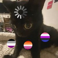 willowpop_09