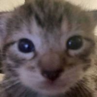 _elliee__
