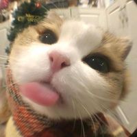 alin_raspberry_