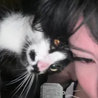 original sound - badfacemell_