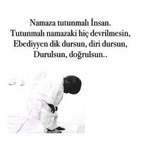 orijinal ses