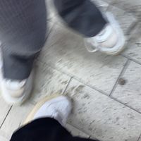 fxliz.hdf