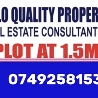 original sound - mado_jollo0749258153