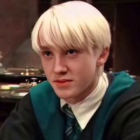 mulherdomalfoy2