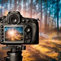 الصوت الأصلي