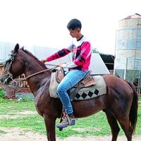 davisito972