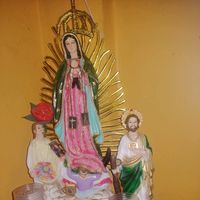 delfyortega1
