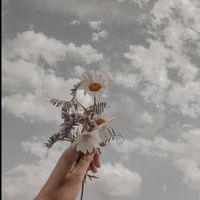 .coraslifestylee