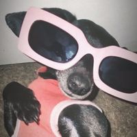 _zepeda_02_