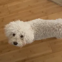 To be loved is to be changed