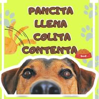 pancitallenacolitaconten