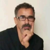 user50461815008413