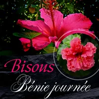 original sound - annak_751