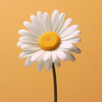 1.9.8.3story