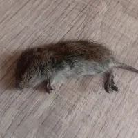 хватит мне писать