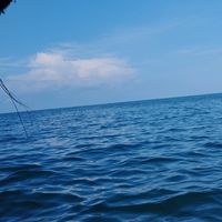 herinh21