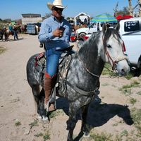kilorodriguez575
