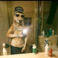 the._.wolf._.17