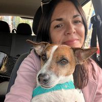 πρωτότυπος ήχος