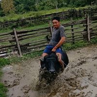 michaelpedronascimento