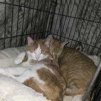 mushy.cheeto