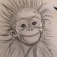 nieaktua689nyprofil