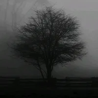 original sound - song_lyrics______