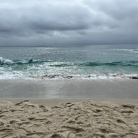 ilovetaylorswift486