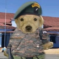 somoscivicomilitares