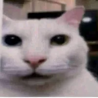 Young Miko Bzrp 52 Audio Bait xd