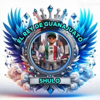 original sound - shulodad9808